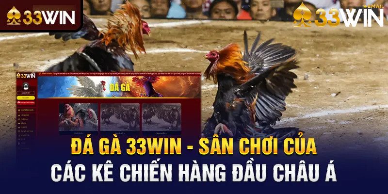Phân tích thông tin thu được từ trận đấu