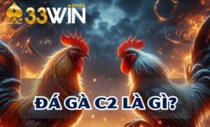 Đá gà c2 là loại hình chọi gà hấp dẫn không kém cạnh đá gà c1